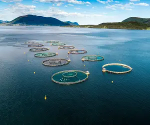 Industrial Blowers in the Aquaculture Sector